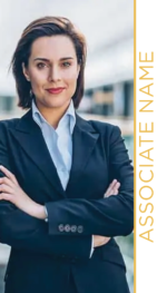 Advisors-BC11 VGold+Gray